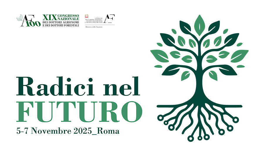 Immagine copertina pdf