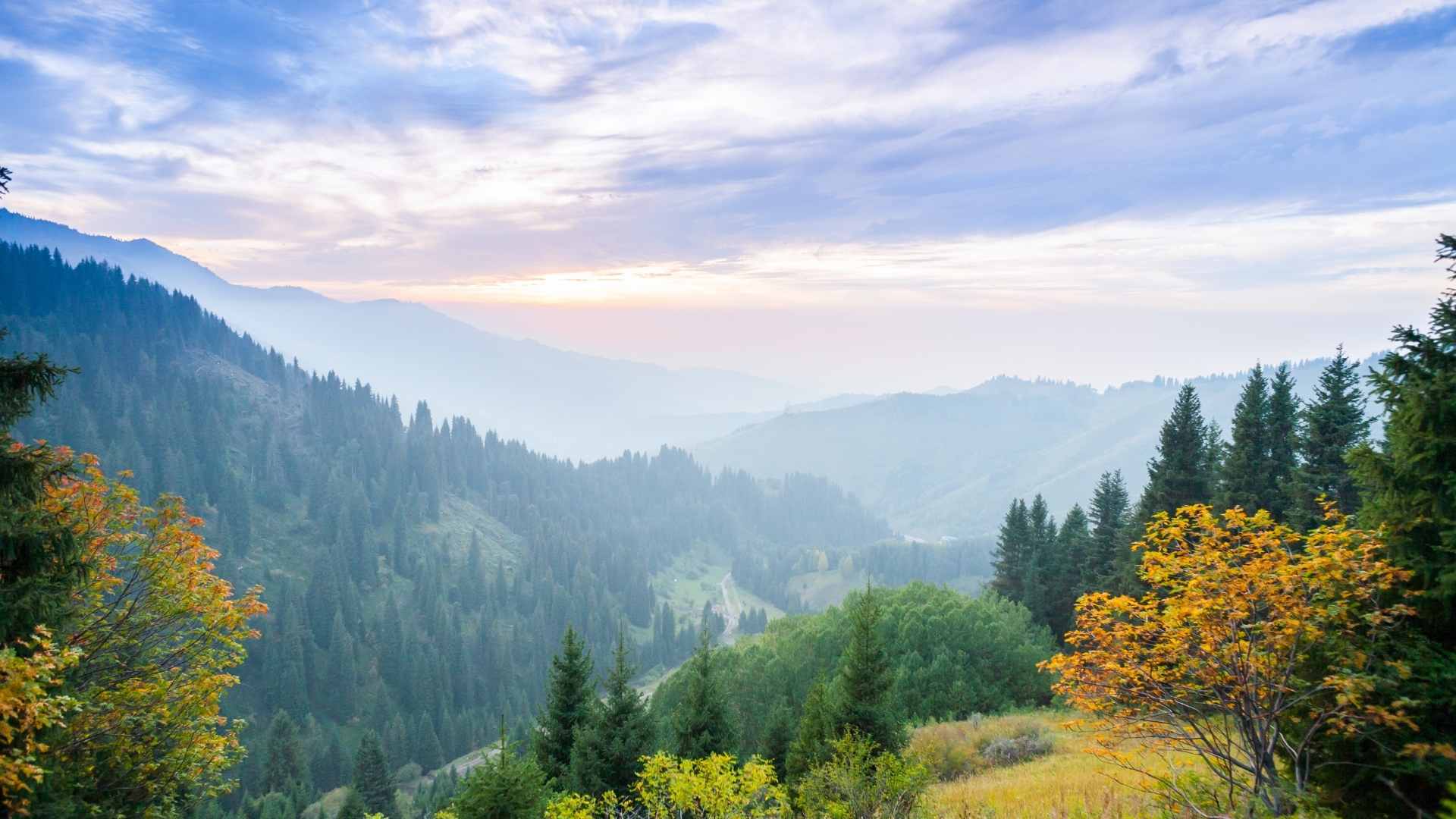 Immagine evento Apertura del XIX Congresso nazionale dei dottori agronomi e dottori forestali