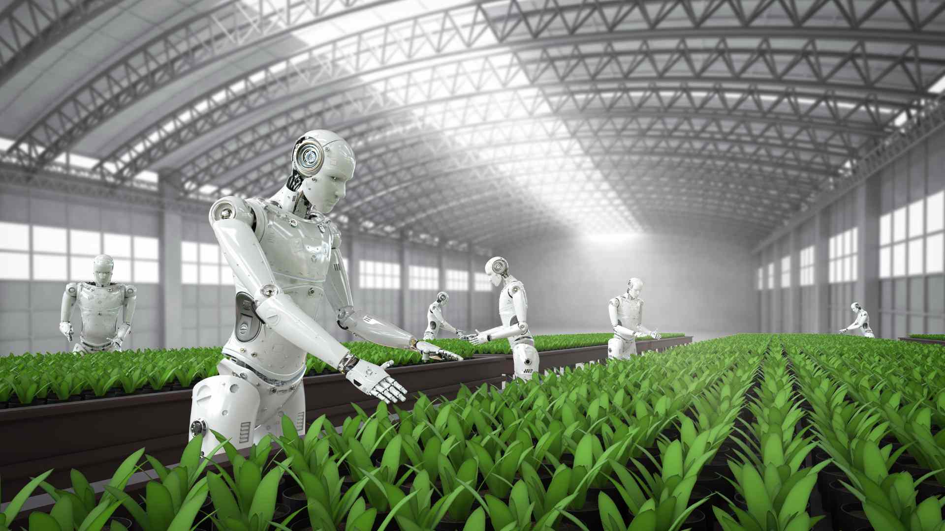 Immagine evento Il futuro della professione tra gestione dei dati e intelligenza artificiale